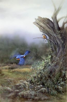 "A Brush of Blue" Bluebirds